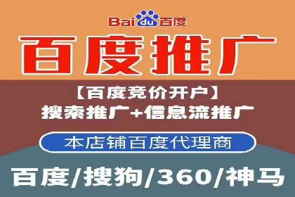SEM代理案例：揭秘成功背后的秘密
